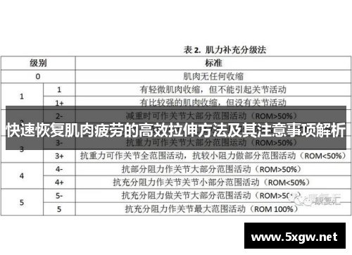 快速恢复肌肉疲劳的高效拉伸方法及其注意事项解析