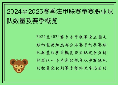 2024至2025赛季法甲联赛参赛职业球队数量及赛季概览