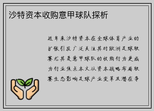沙特资本收购意甲球队探析