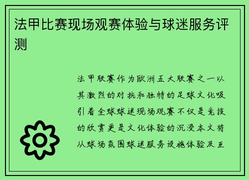 法甲比赛现场观赛体验与球迷服务评测
