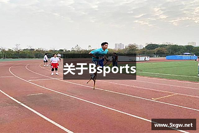 关于Bsports
